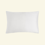 The Silk Pillowcase